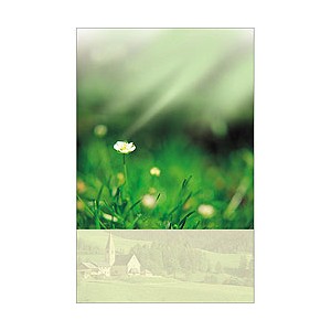 6면 미주용주보-1156 (1속 100장)