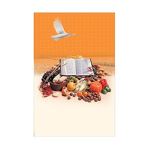 4면 미주용주보-1165 (1속 100장)