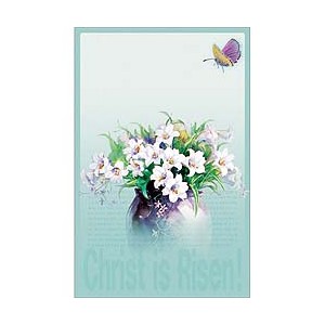 4면 미주용주보-1164 (1속 100장)