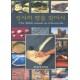 성서의 땅을 찾아서(DVD)