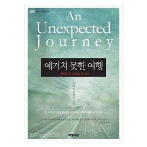 예기치 못한 여행- 로버트 갓프리    