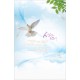 4면 미주용 주보 진흥 11774(1속-100장)