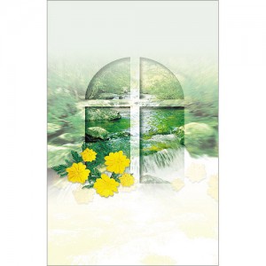 4면 미주용 주보 진흥 11584(1속-100장)