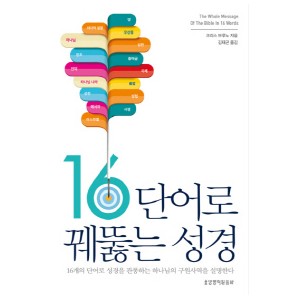 16단어로 꿰뚫는 성경-크리스 브루노