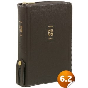 [개역개정]큰글성경 [21C]찬송가-대(다크브라운/천연우피)