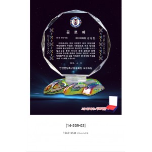 임직/감사패-크리스탈14-209-02
