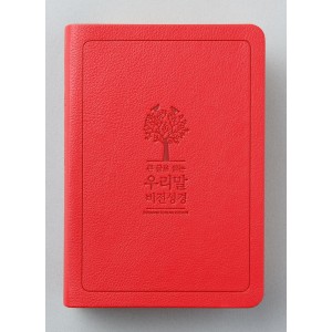 큰 글로 읽는 우리말 비전성경 (소단본/색인/무지퍼/브라운,레드)