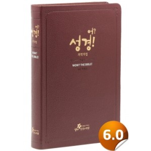 [개역개정]어 성경-대(천연우피/무지퍼/버건디)