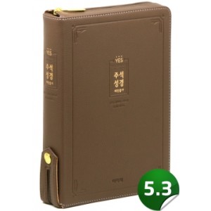 [개역개정]예스주석성경 [21C]찬송가-대(브라운)