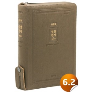 [개역개정]성경전서 [21C]찬송가-NKR72EAB(모카브라운)