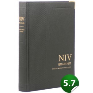 [개역개정][NIV]영한스터디성경-자이언트(천연우피/다크브라운)